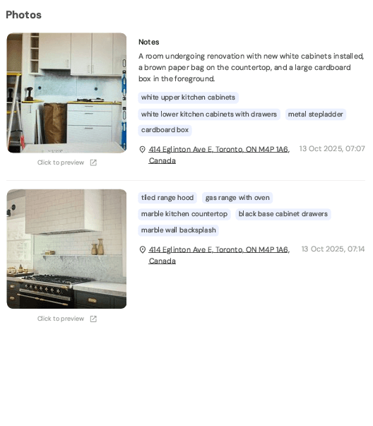 Visual Project Progress Report